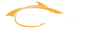 brands-logo-4